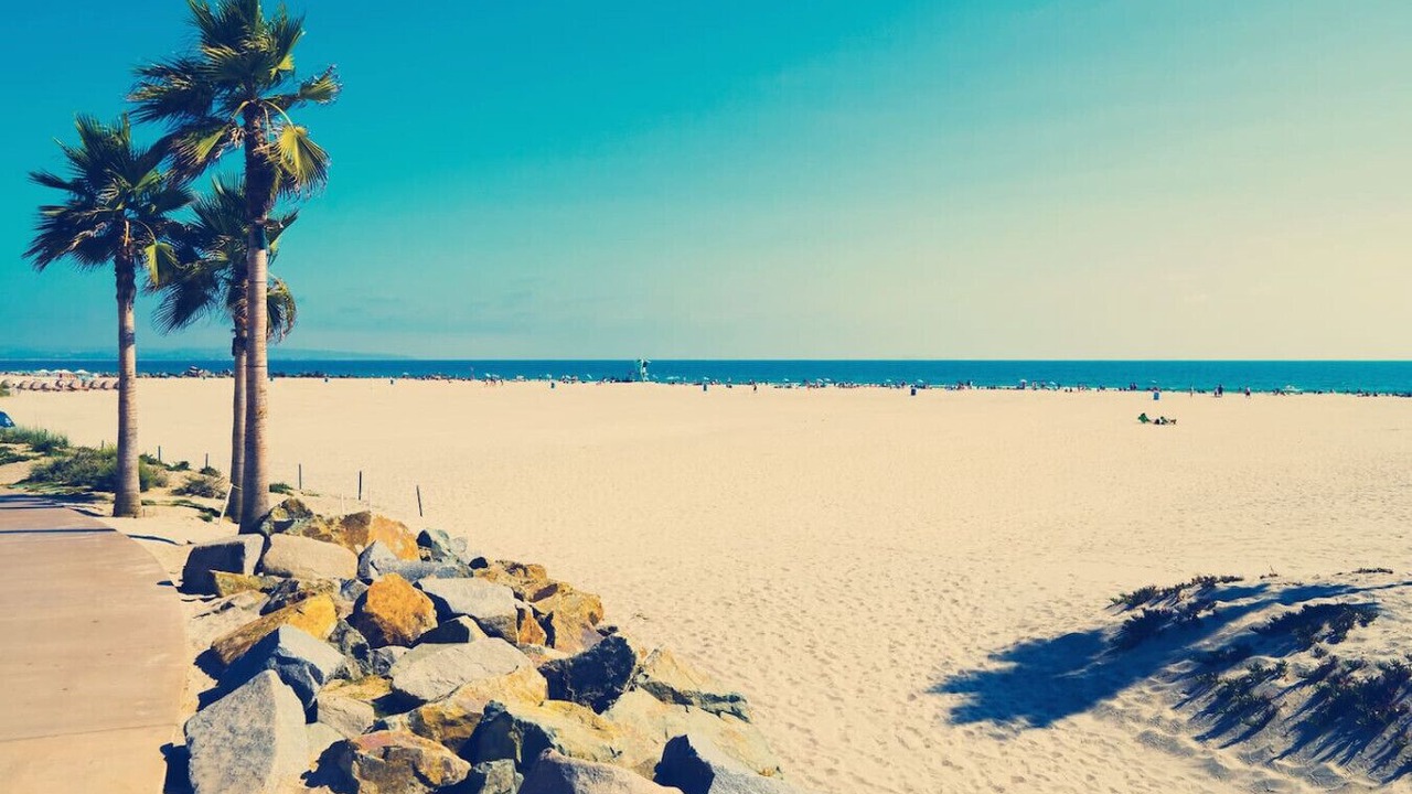 Photo of Others in Point Loma