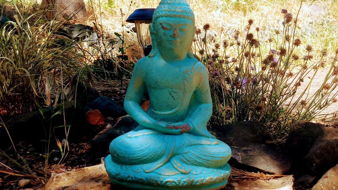 Photo of Outdoor in Grass Valley