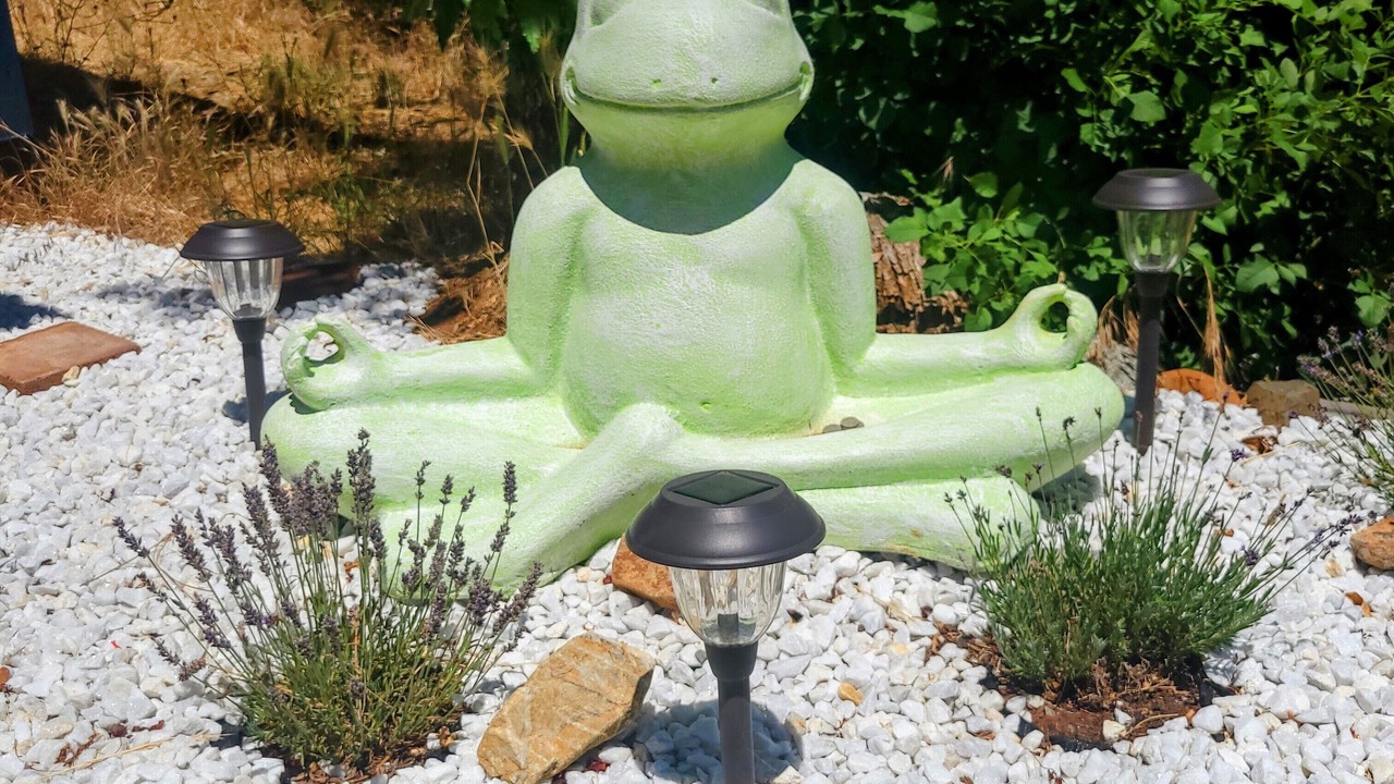 Photo of Others in Grass Valley