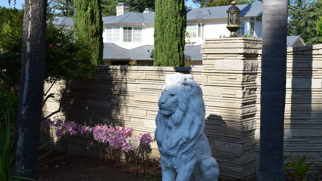 Photo of Outdoor in Los Gatos