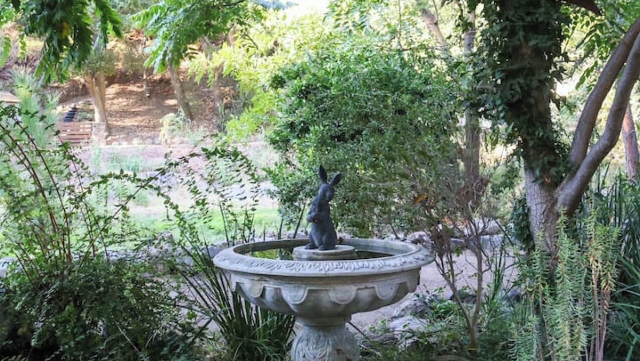 Photo of Outdoor in Silverado