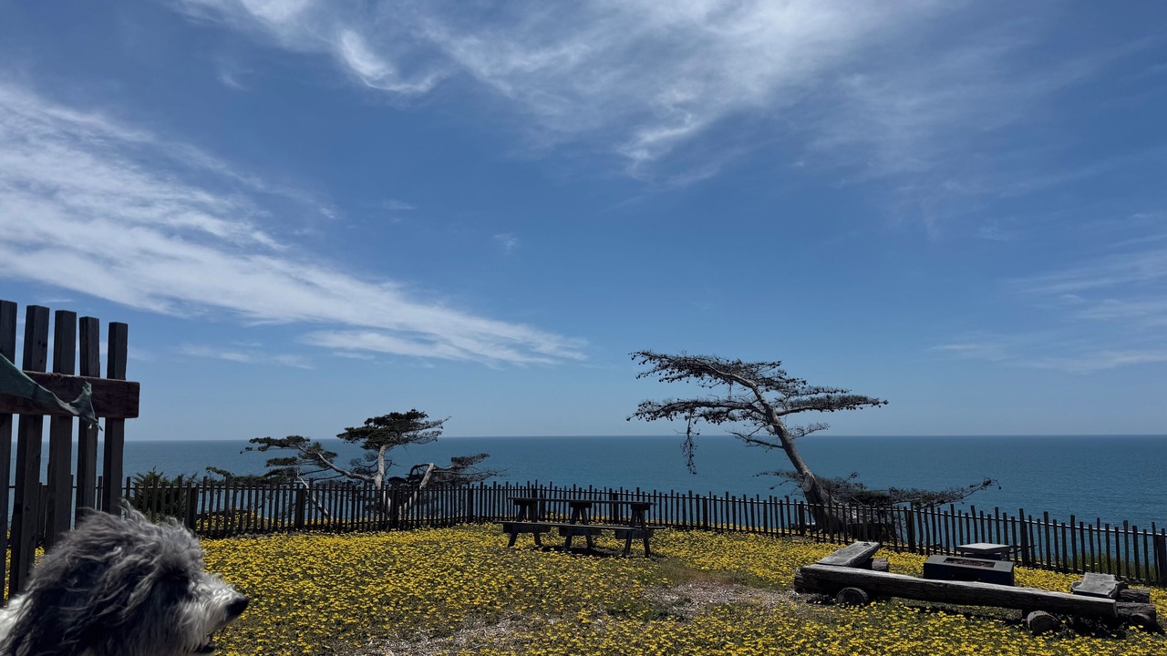 Photo of Outdoor in Gualala