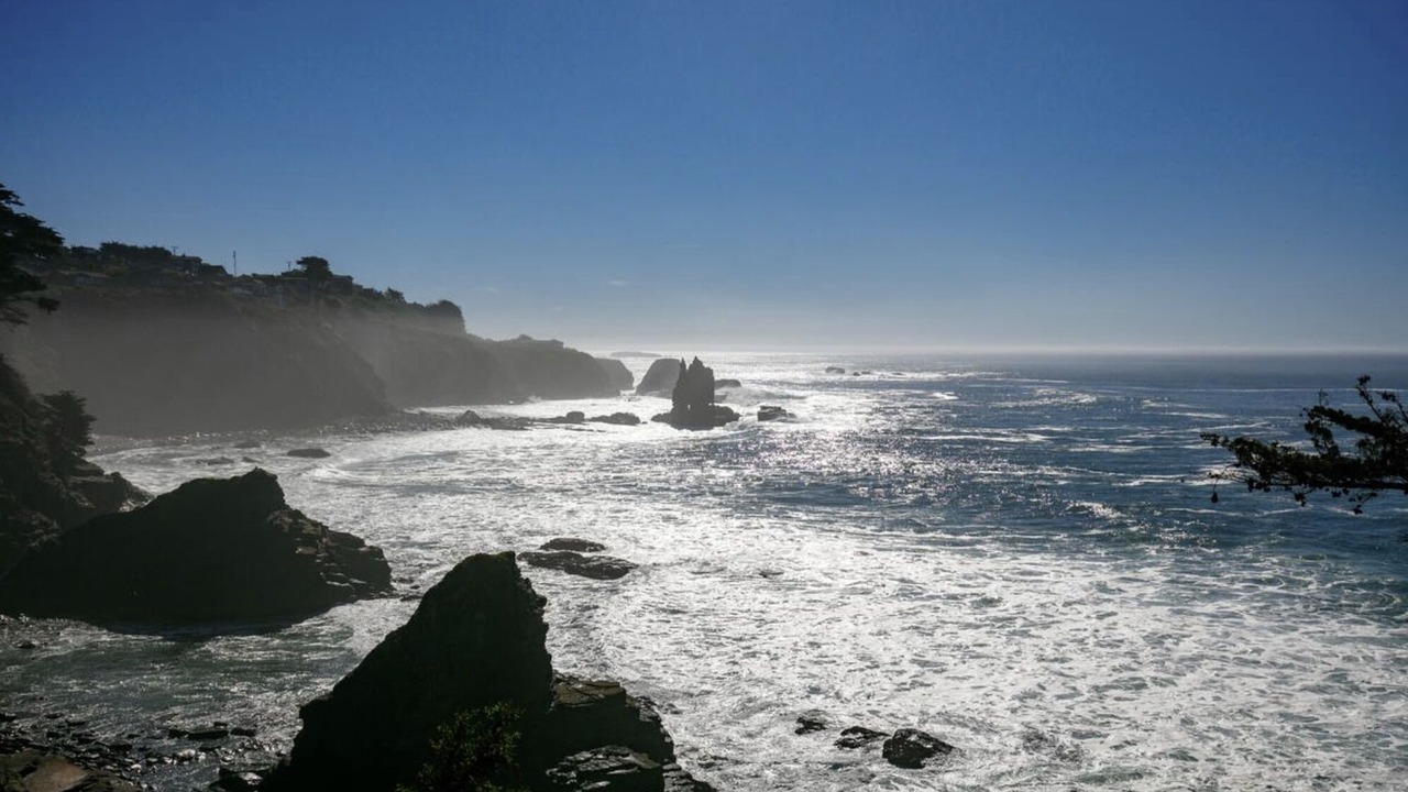 Photo of Others in Gualala