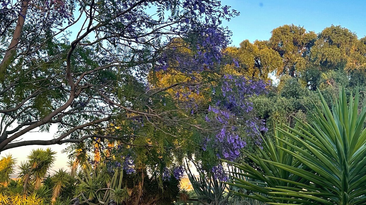Photo of Outdoor in Byron