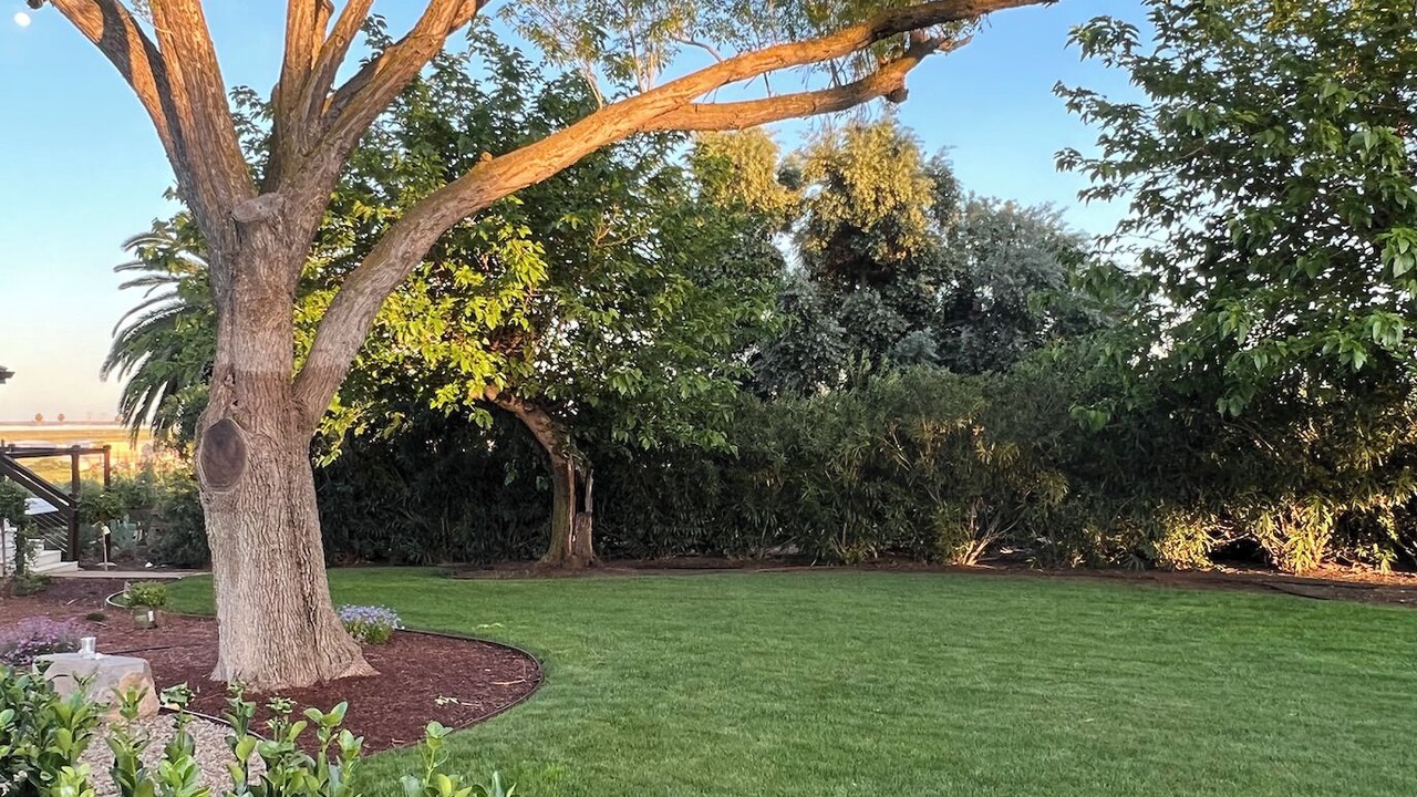 Photo of Outdoor in Byron