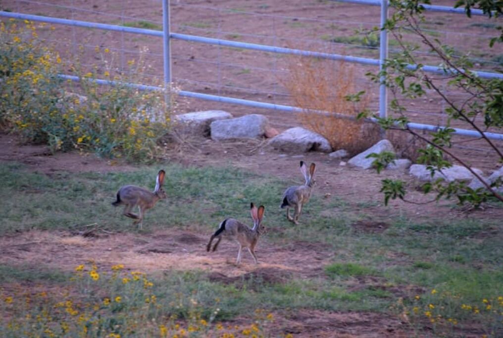 Photo of Others in Williamson