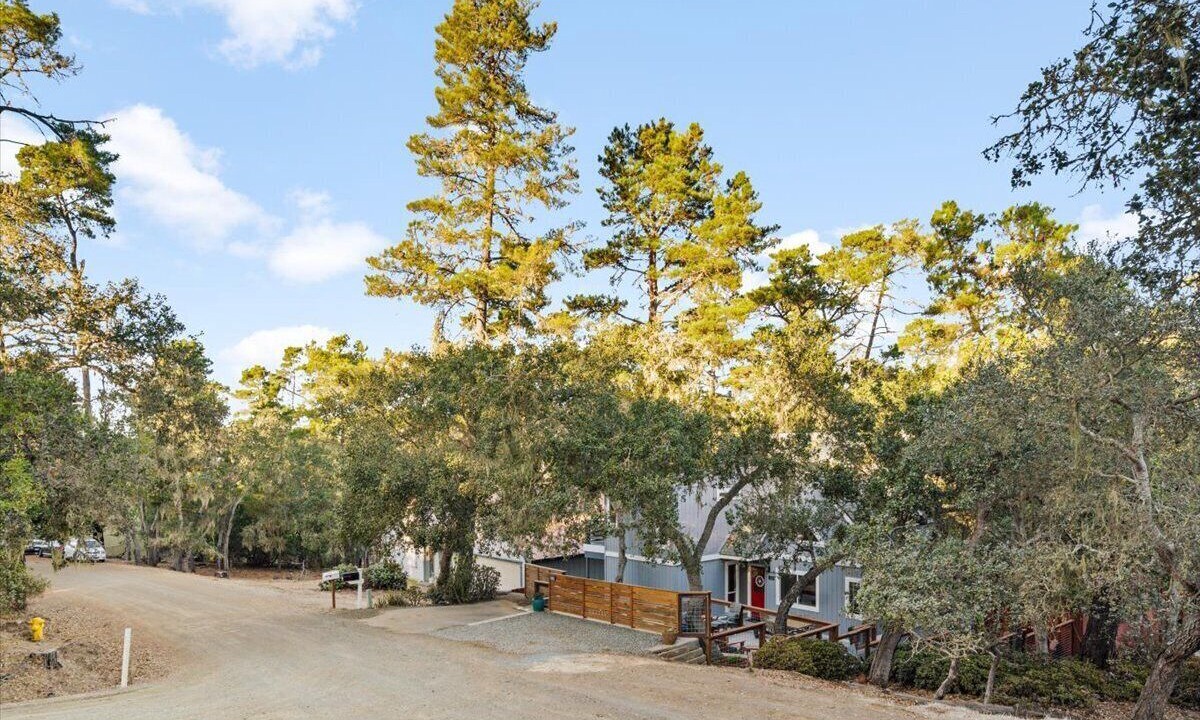 Photo of Outdoor in Lodge Hill