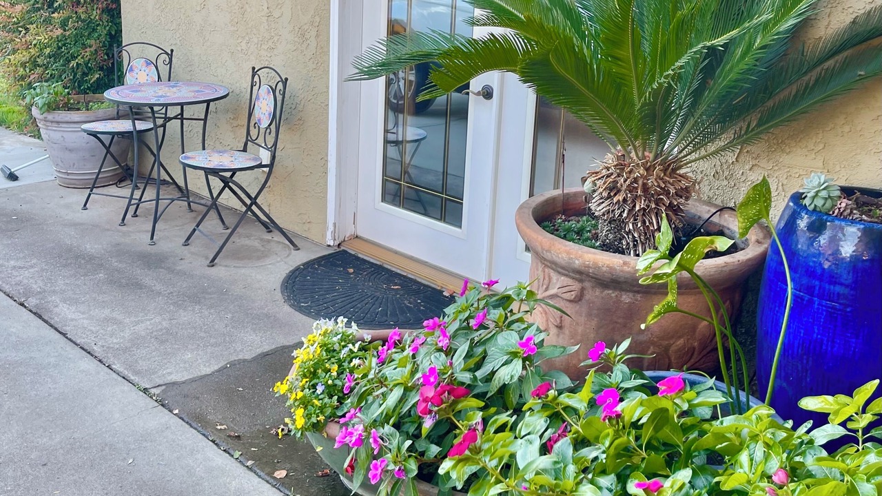 Photo of Outdoor in Chico