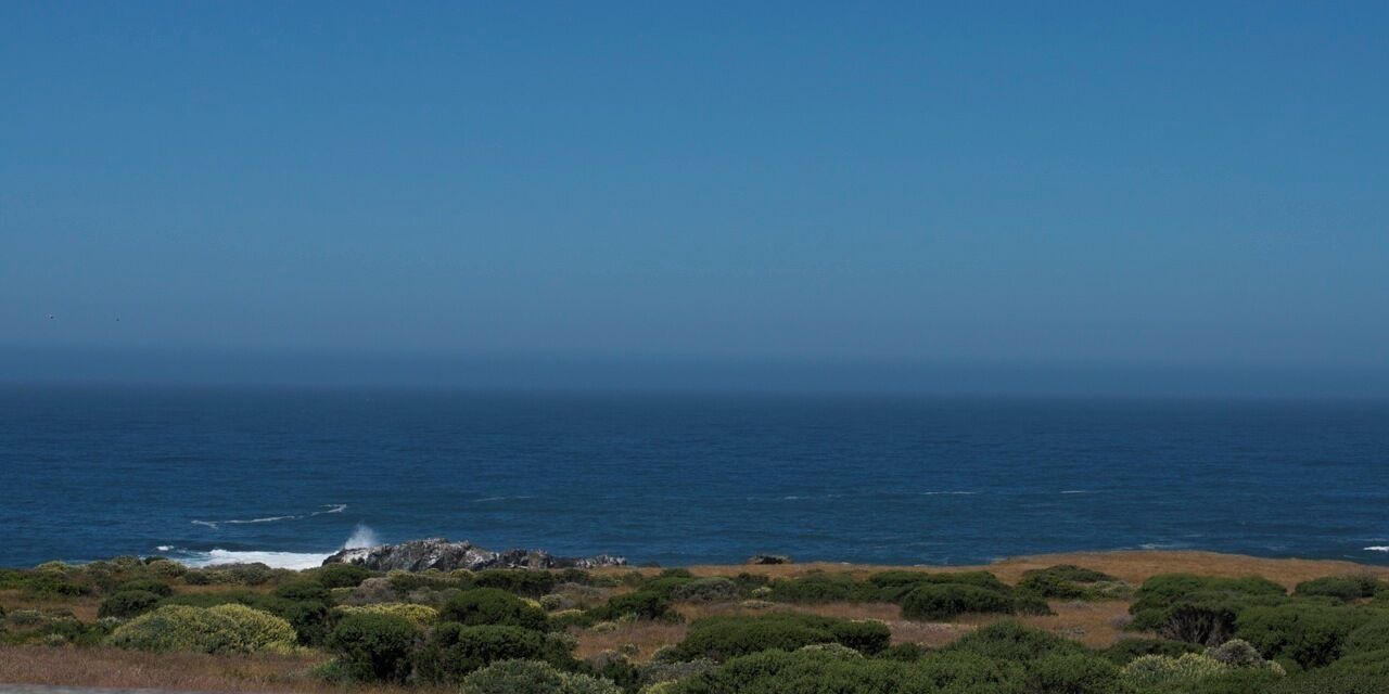 Photo of Others in Sea Ranch