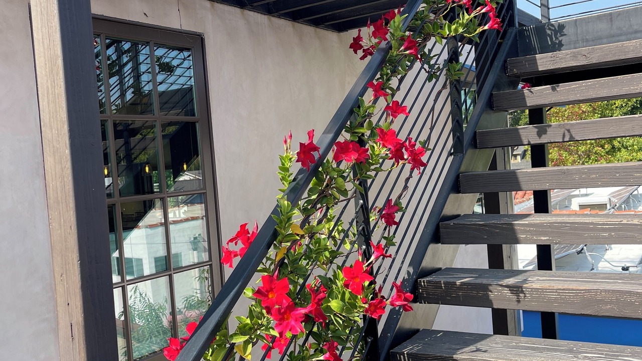 Photo of Outdoor in Lucerne - Higuera