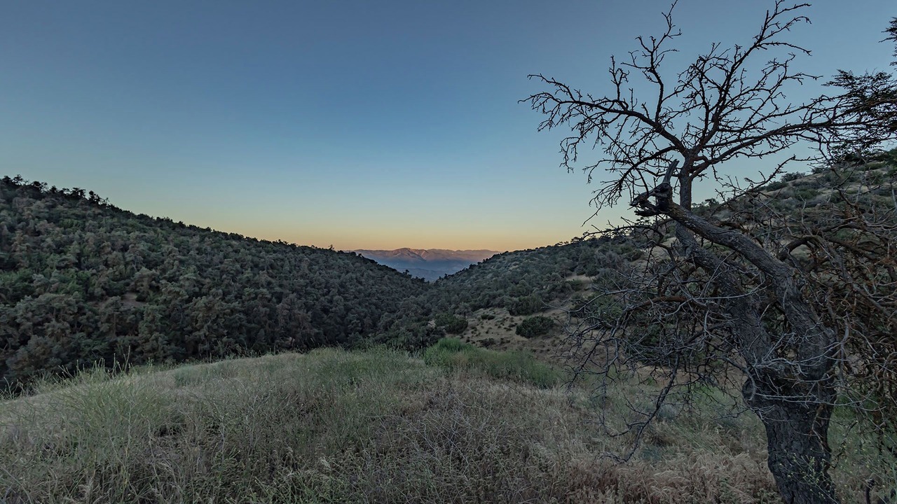Photo of Outdoor in Maricopa