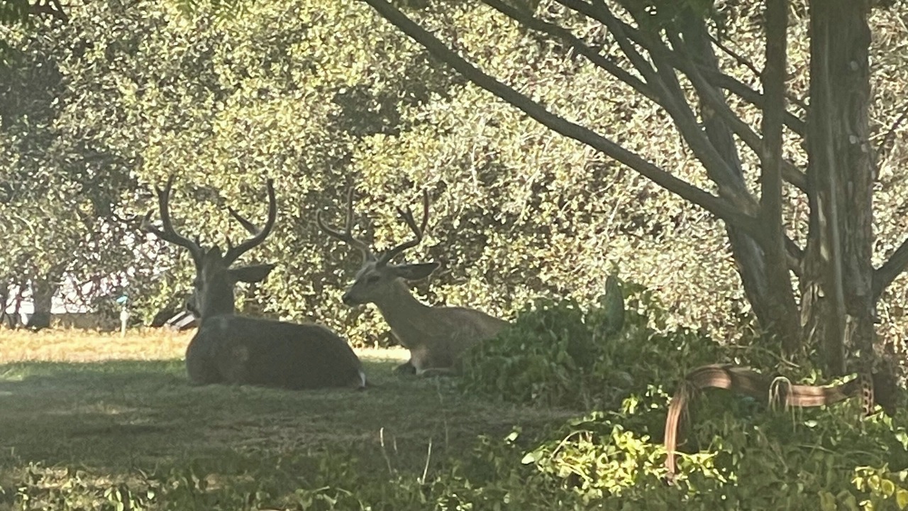 Photo of Others in Three Rivers