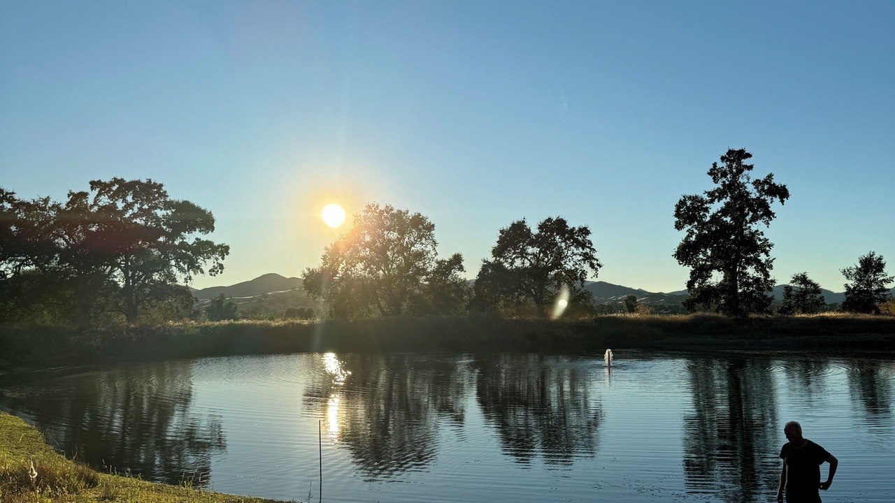 Photo of Others in Upper Lake