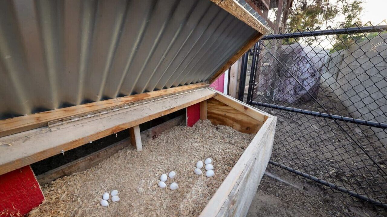 Photo of Outdoor in Rosedale
