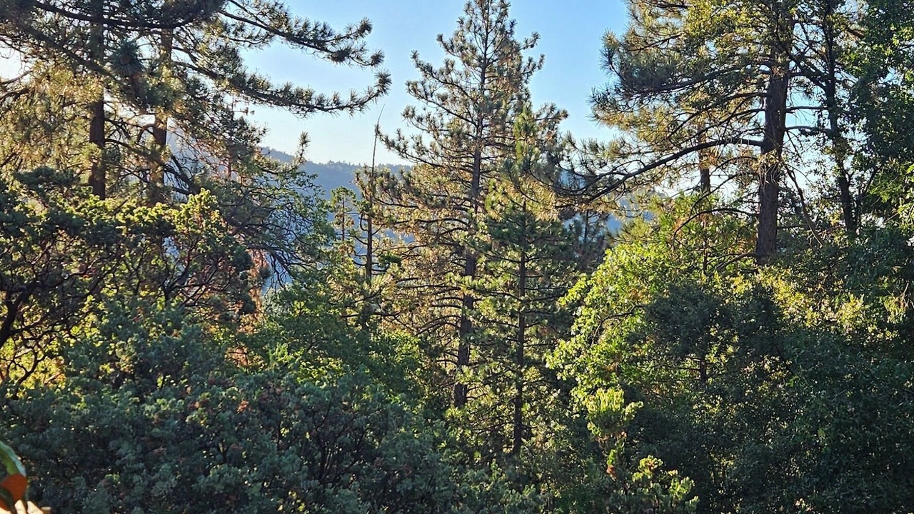 Photo of Outdoor in Mountain Center