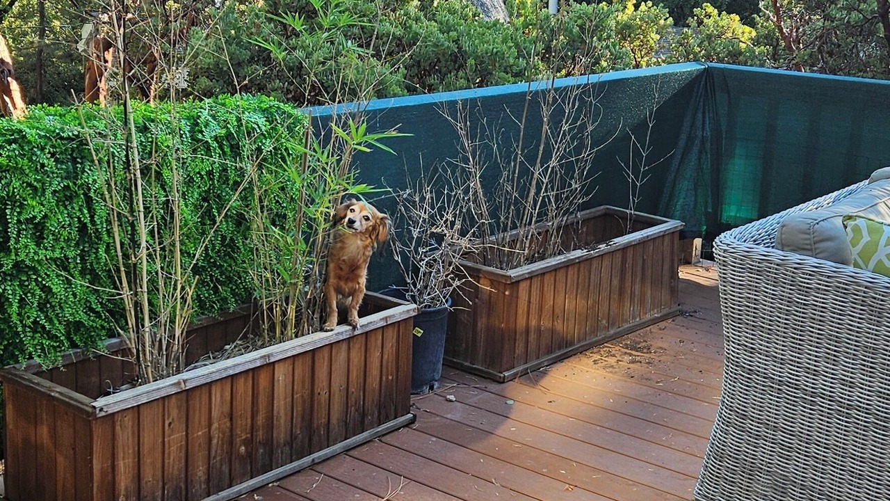 Photo of Patio Balcony in Mountain Center