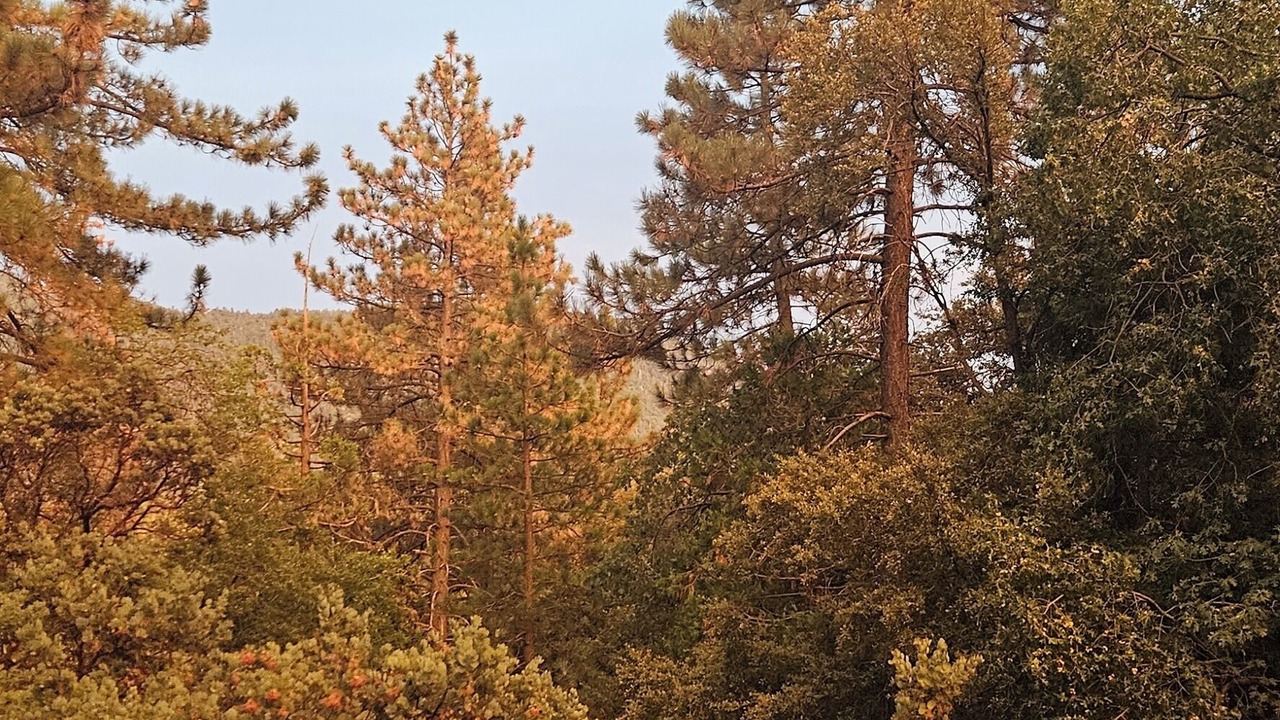 Photo of Outdoor in Mountain Center