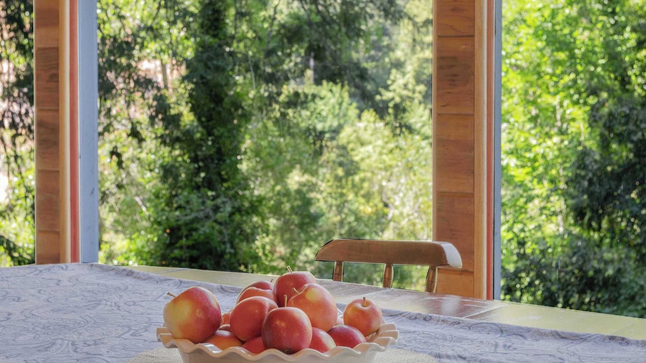 Photo of Outdoor in Guerneville