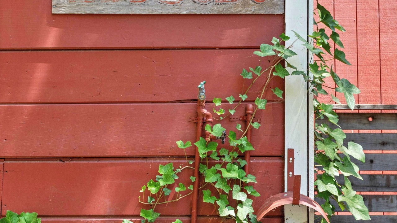 Photo of Outdoor in Guerneville
