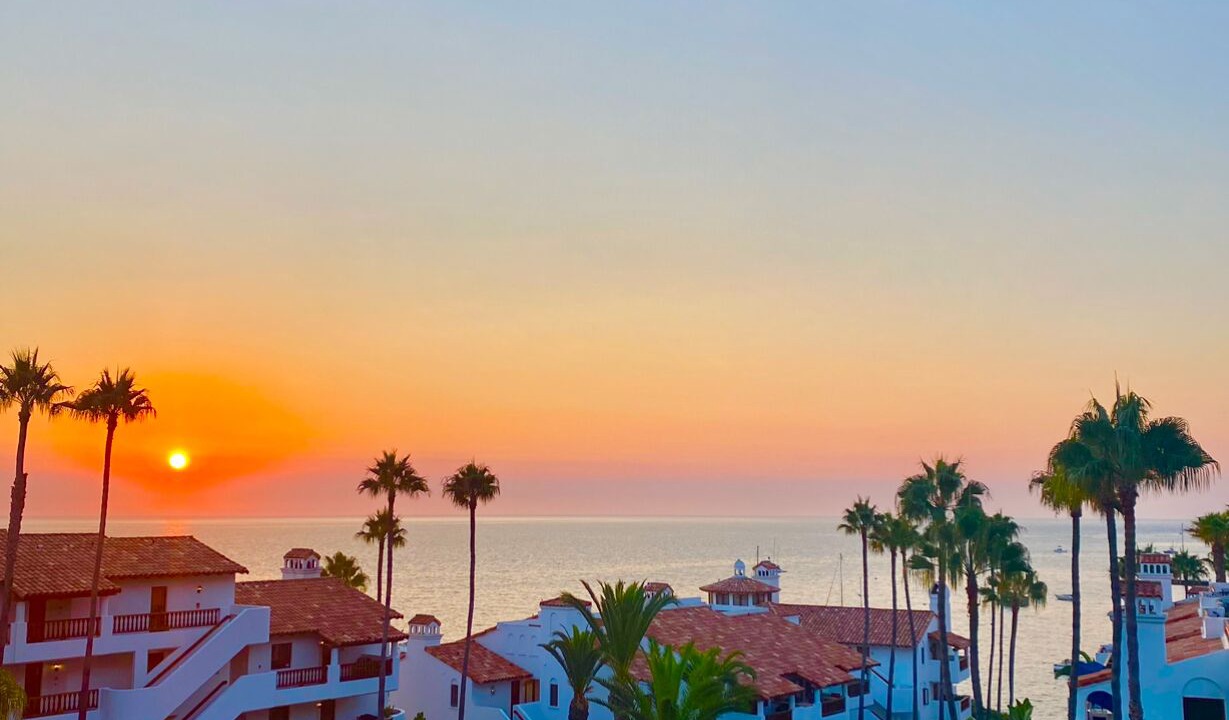 Photo of Outdoor in Avalon
