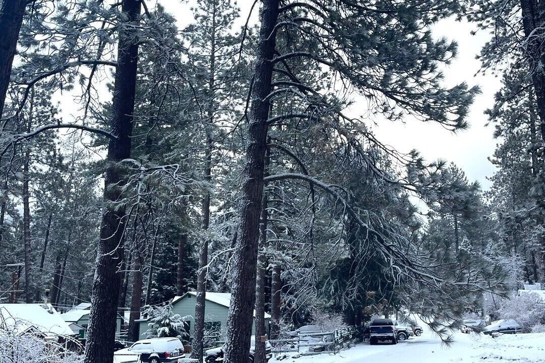 Photo of Outdoor in Wrightwood
