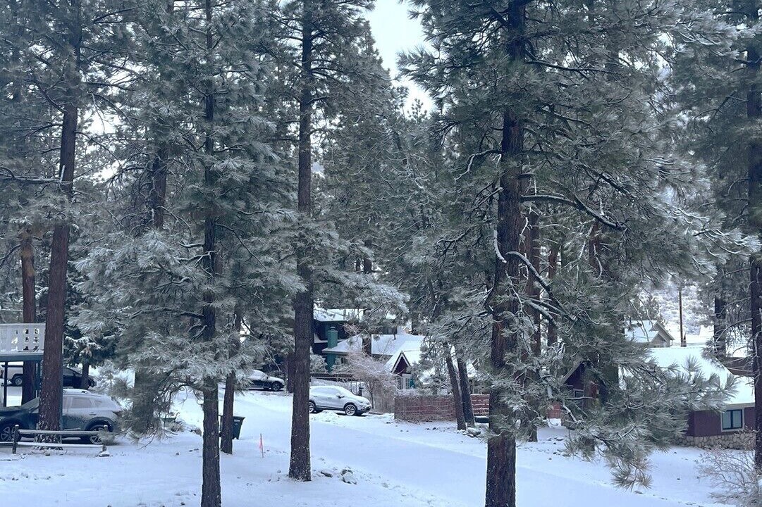 Photo of Outdoor in Wrightwood