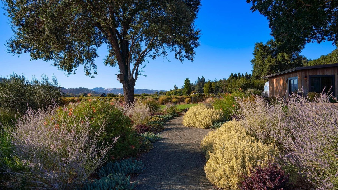 Photo of Outdoor in Geyserville