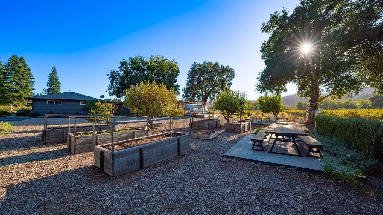 Photo of Outdoor in Geyserville