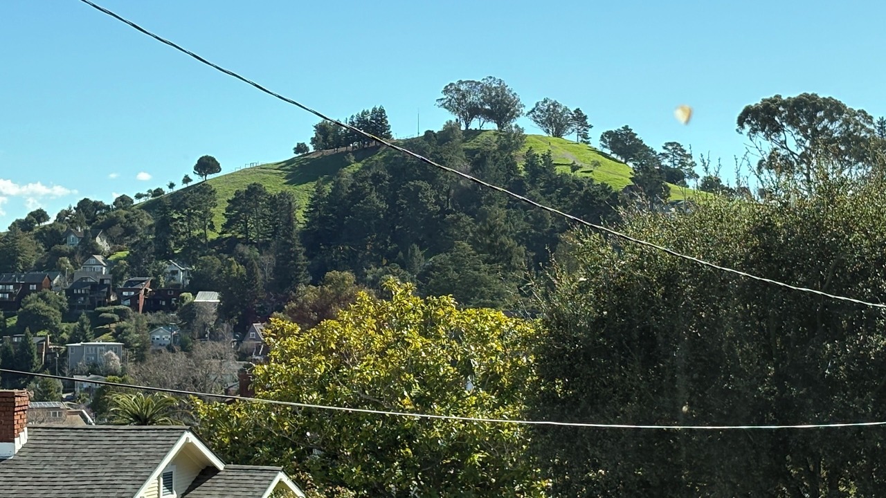 Photo of Others in Point Richmond