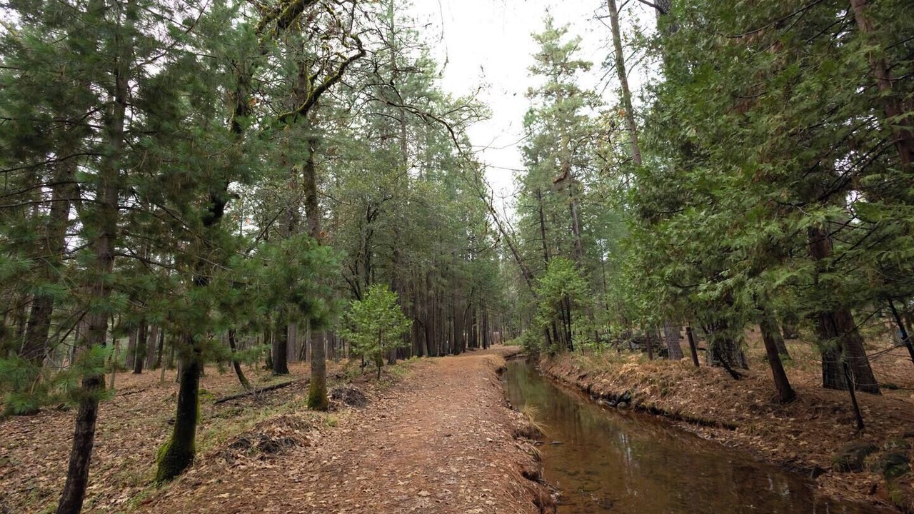 Photo of Others in Cedar Ridge