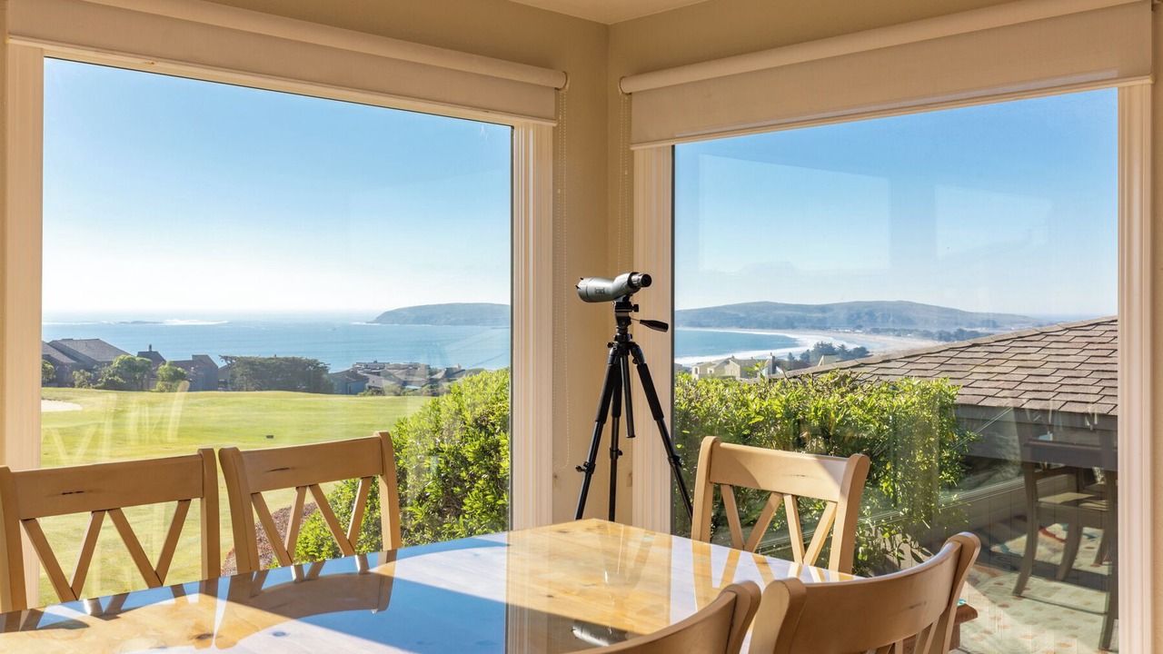 Photo of Others in Bodega Bay