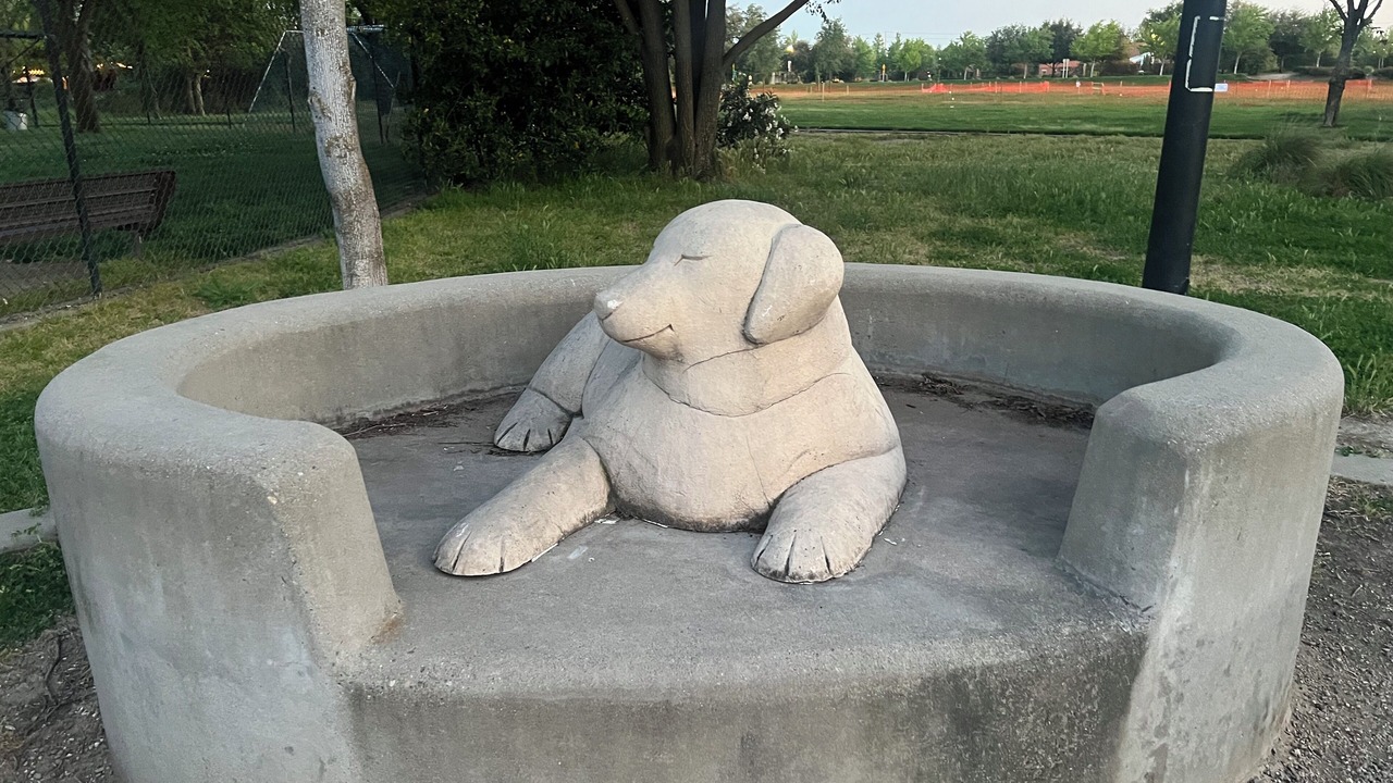 Photo of Others in Roseville