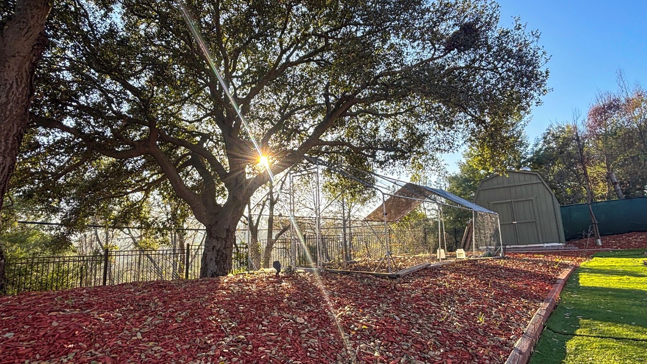 Photo of Outdoor in Los Altos Hills