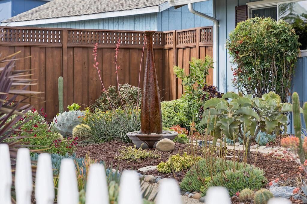 Photo of Outdoor in Willow Glen