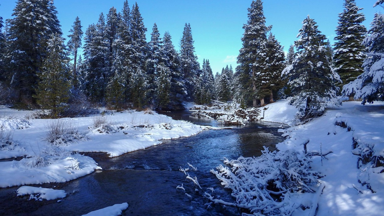 Photo of Others in Truckee
