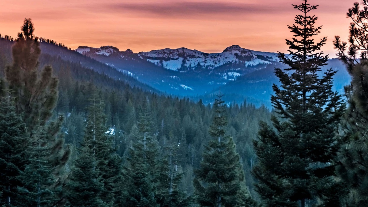 Photo of Others in Truckee