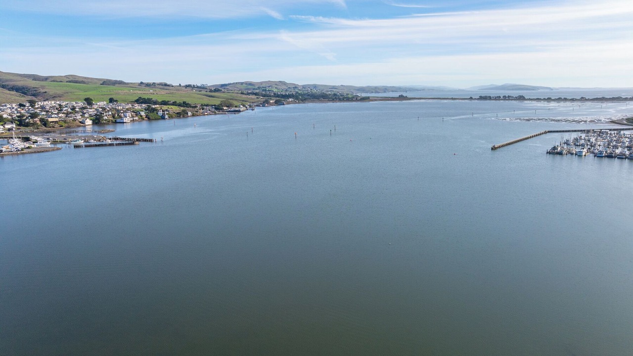 Photo of Outdoor in Bodega Bay