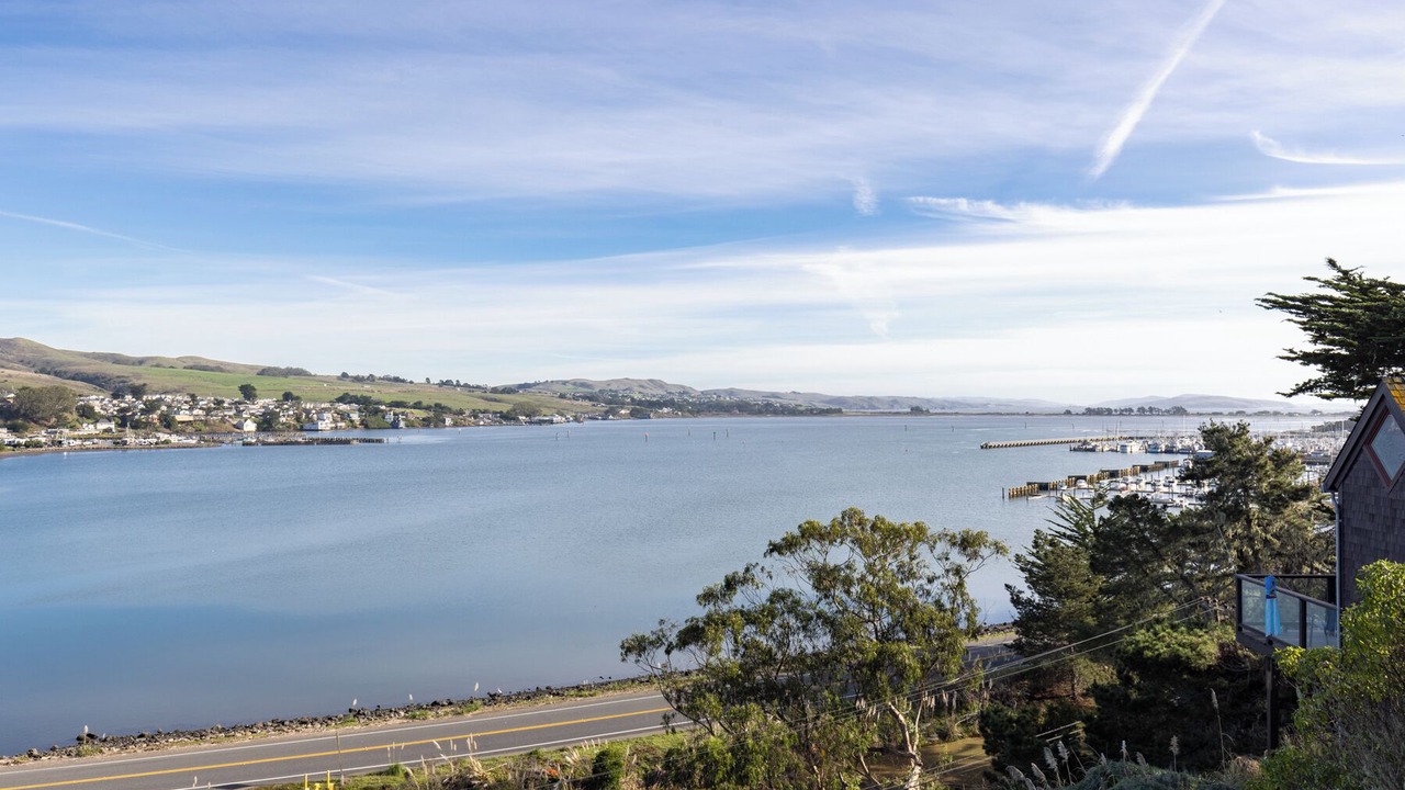 Photo of Others in Bodega Bay