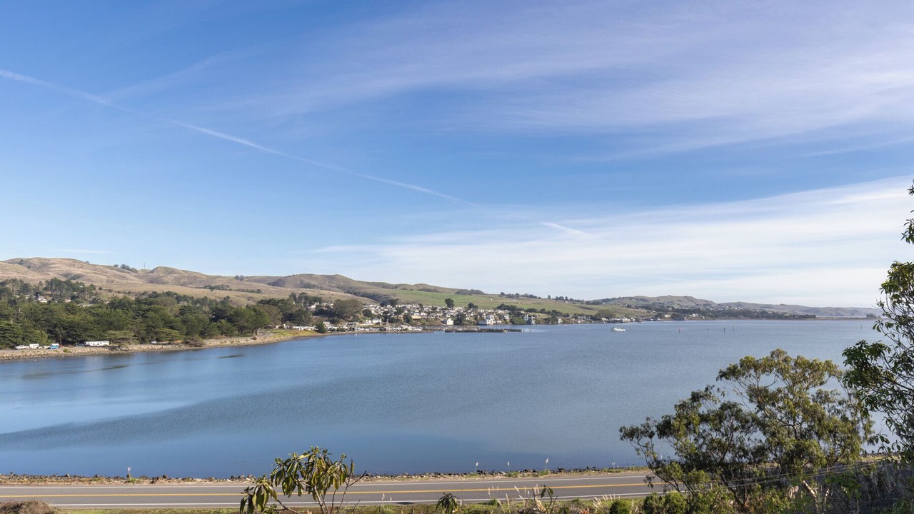Photo of Others in Bodega Bay
