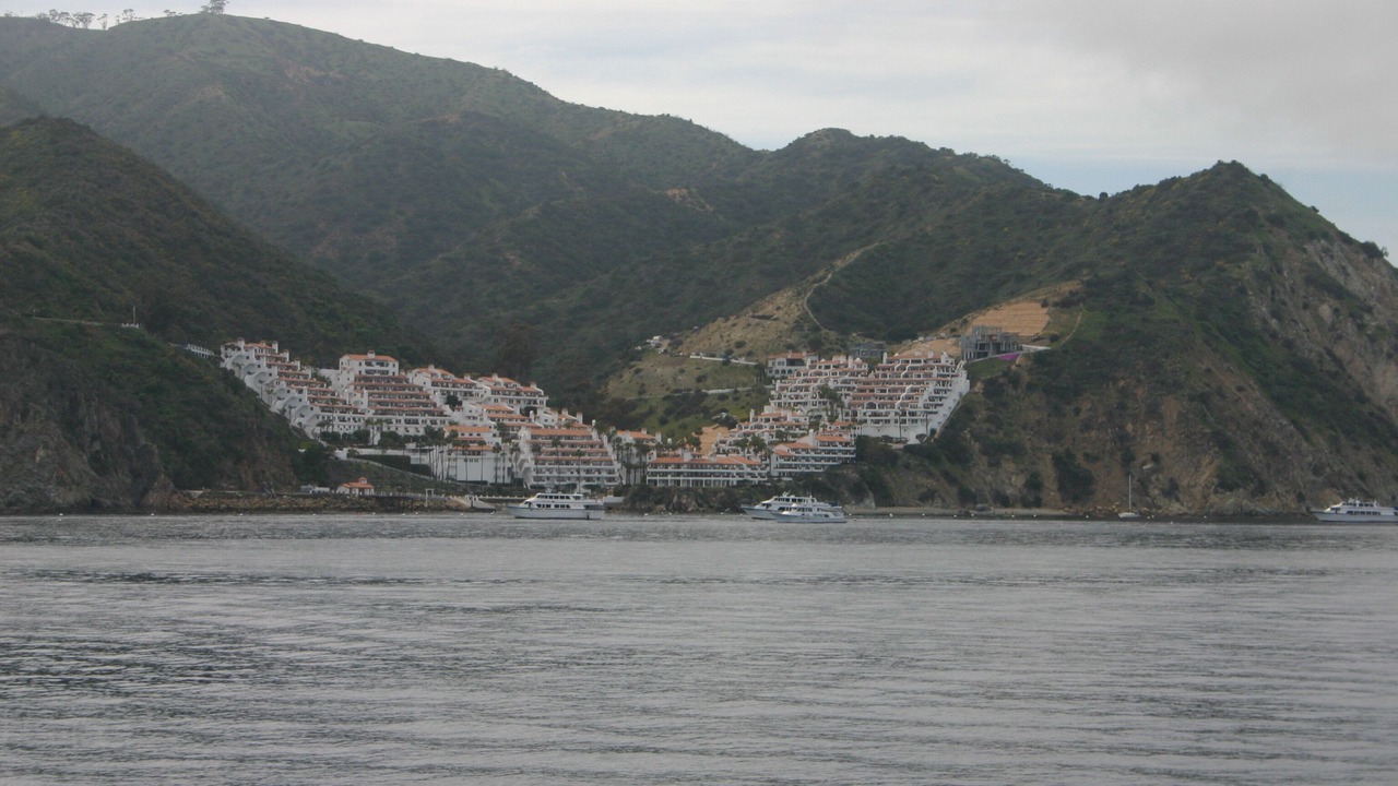 Photo of Others in Avalon