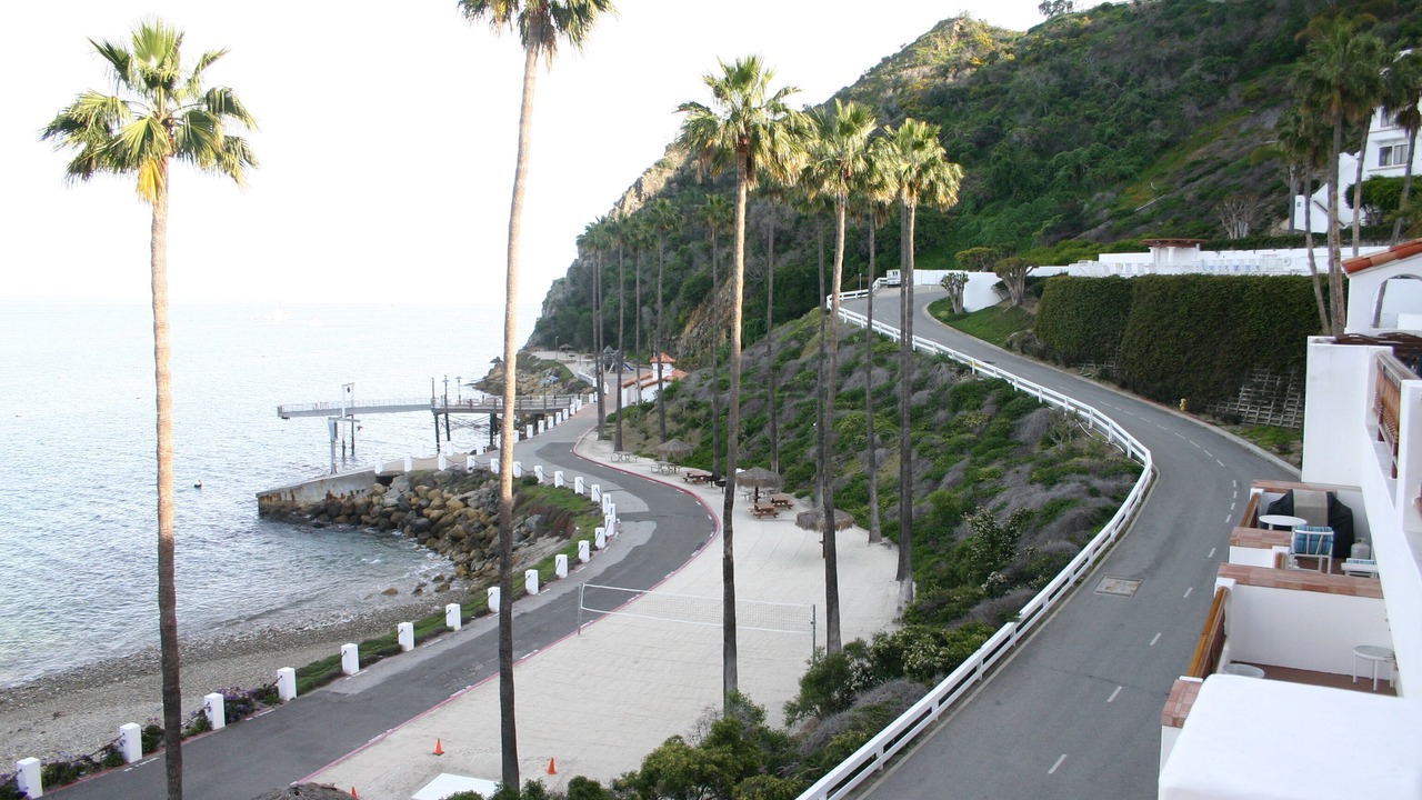 Photo of Others in Avalon