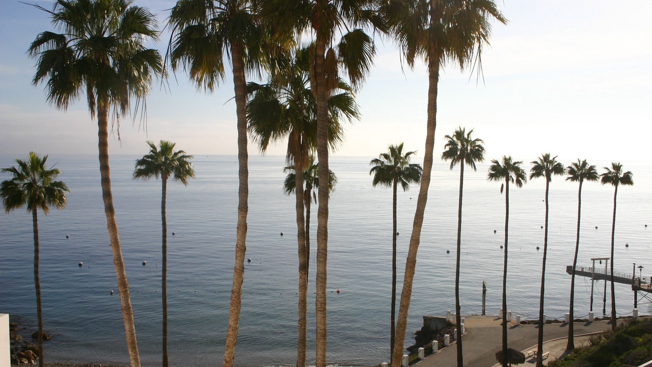 Photo of Outdoor in Avalon