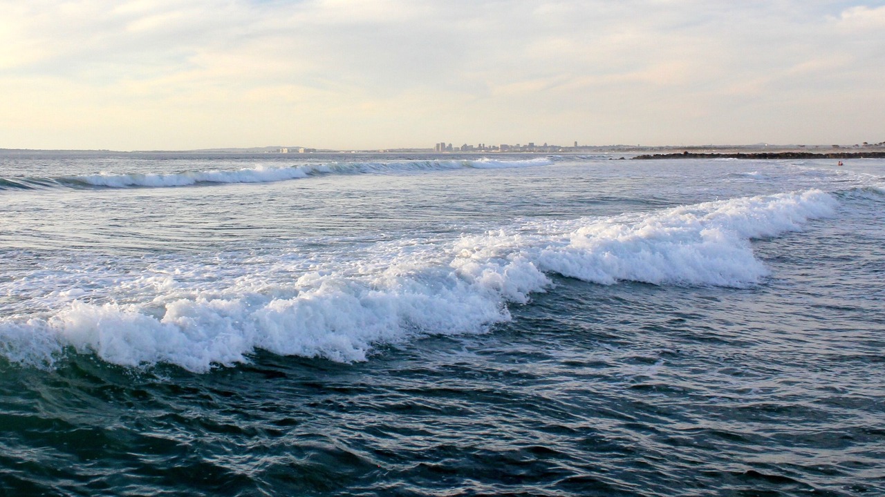Photo of Others in Imperial Beach