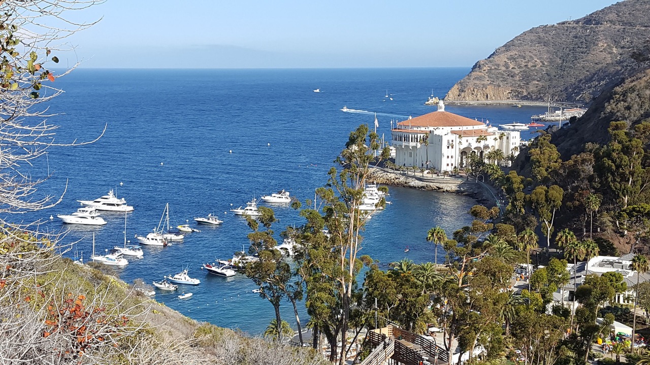 Photo of Others in Avalon