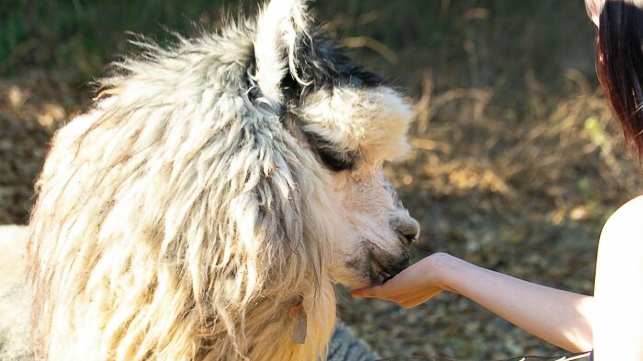 Photo of Others in Rainbow CDP