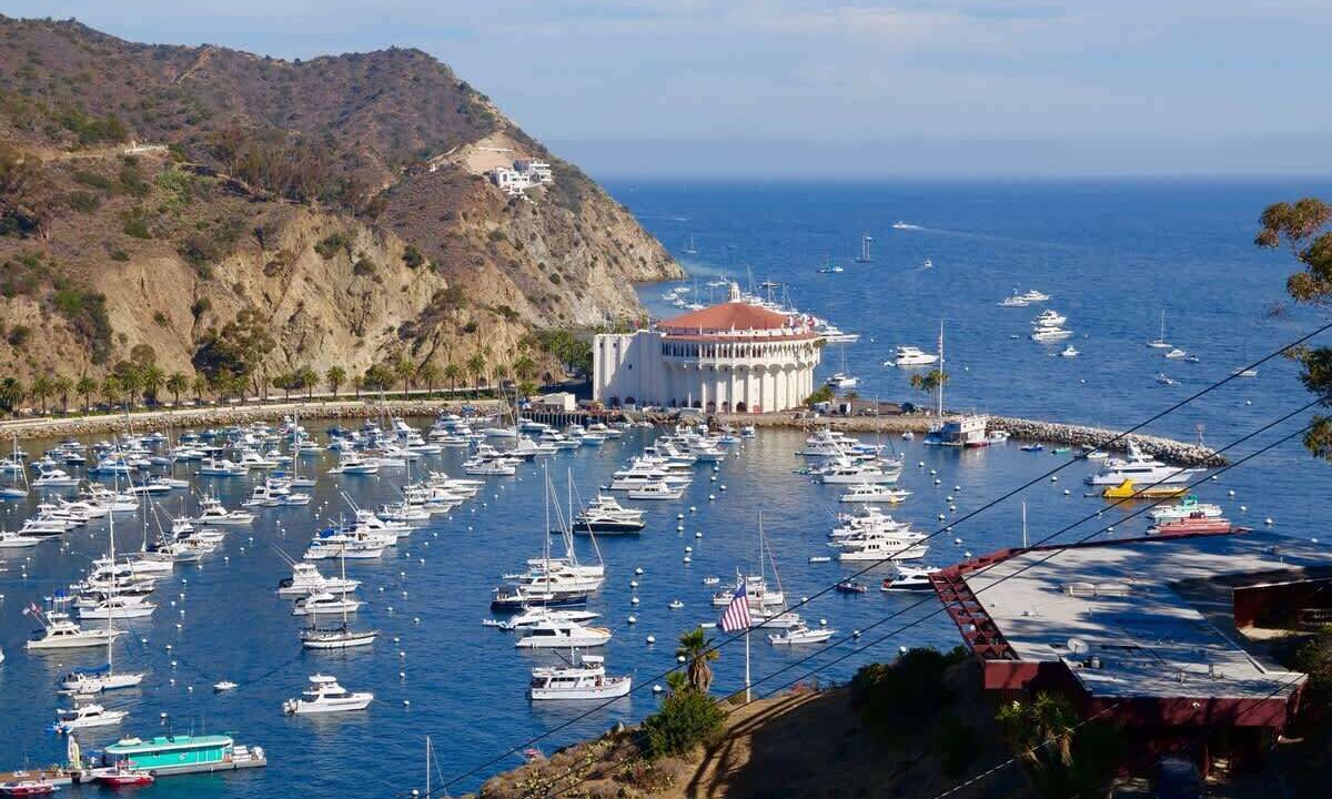 Photo of Others in Avalon