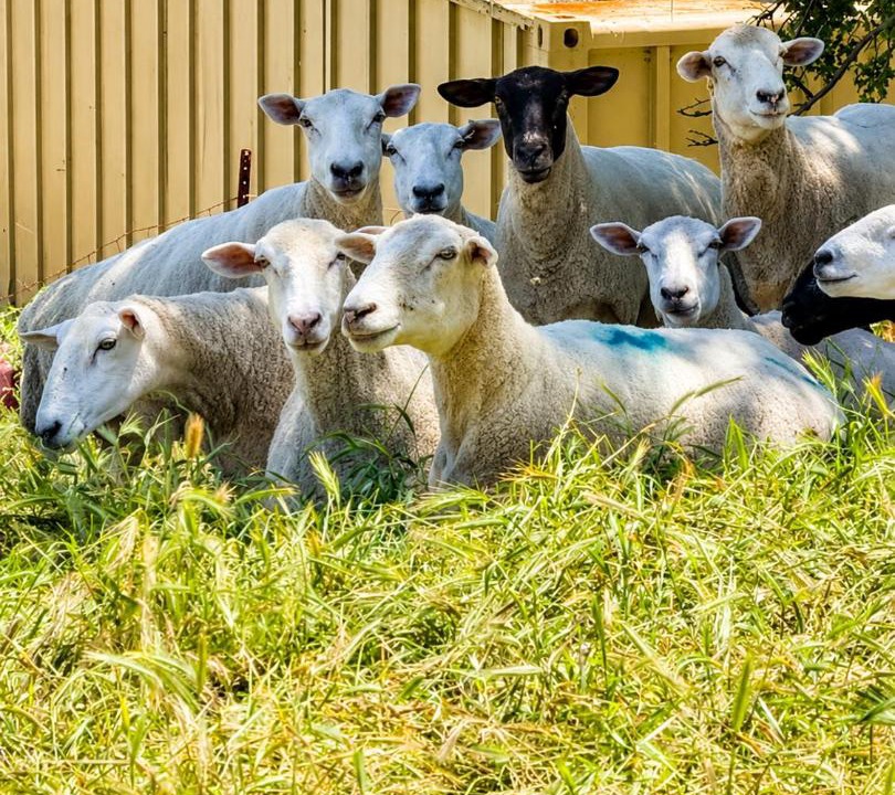Photo of Others in Shenandoah Valley