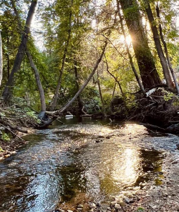 Photo of Others in North Fork