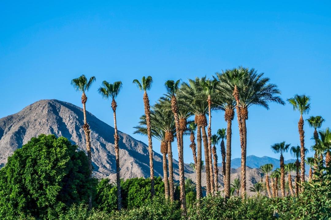 Photo of Others in Desert Hot Springs
