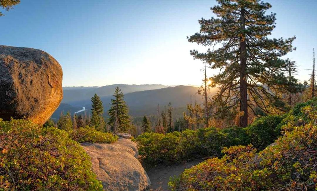Photo of Others in Wilsonia